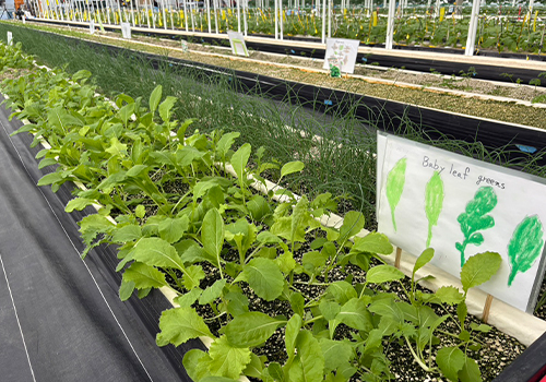 株式会社ヴァレオジャパン様